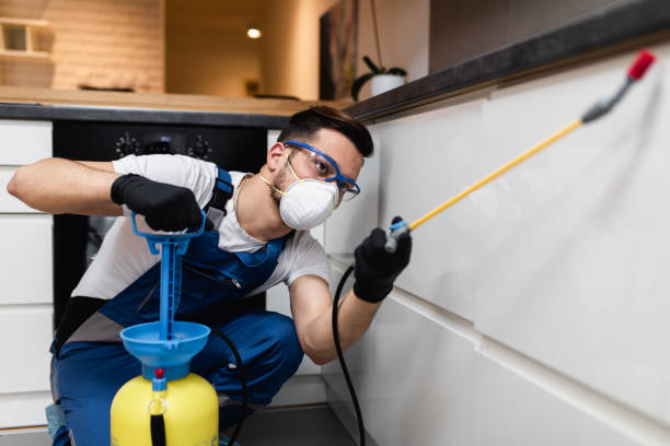 Best Pest Inspection Near Me  in Spencerville, MD