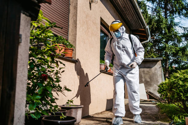 Best Best Pest Control Near Me  in Spencerville, MD