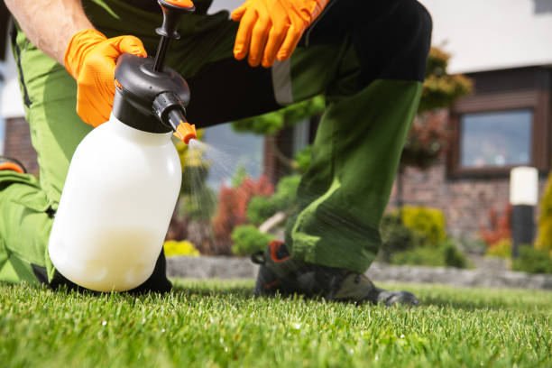 Best Wildlife Control Services  in Spencerville, MD