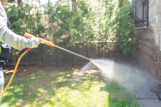 Best Pest Control Near Me in Spencerville, MD