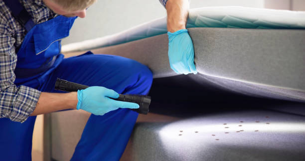 Best Mosquito Control Services  in Spencerville, MD
