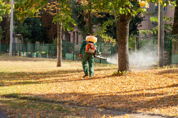 Best Termite Control Services  in Spencerville, MD