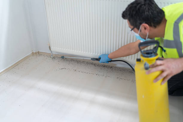 Best Local Pest Control Services  in Spencerville, MD